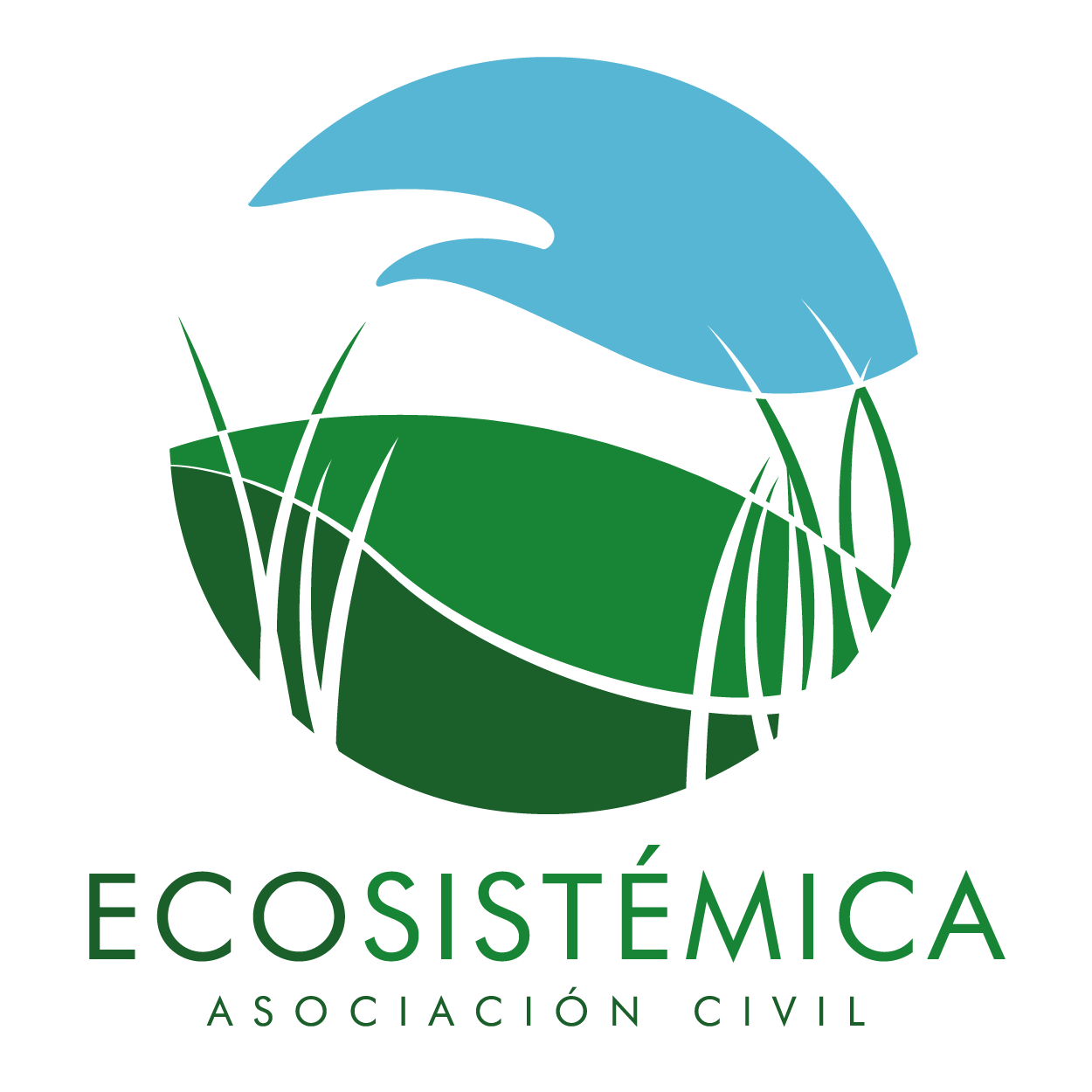 Ecosistémica